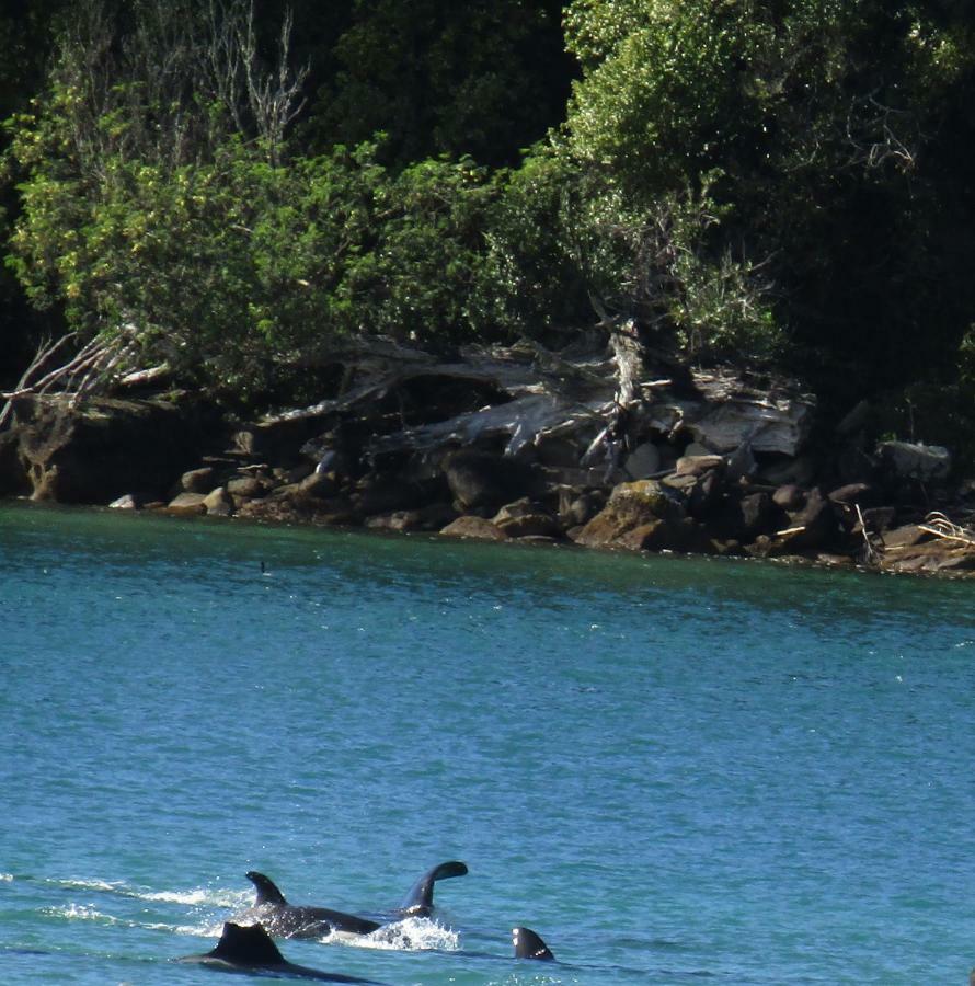 Anchorage Motel Whitianga Eksteriør bilde